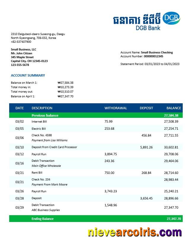 DGB Financial Group business bank statement